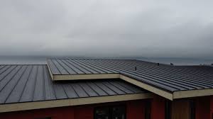 Best Storm Damage Roof Repair  in Oak Grove, TN